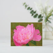 Bleek Pink Peony Briefkaart (Staand voorkant)