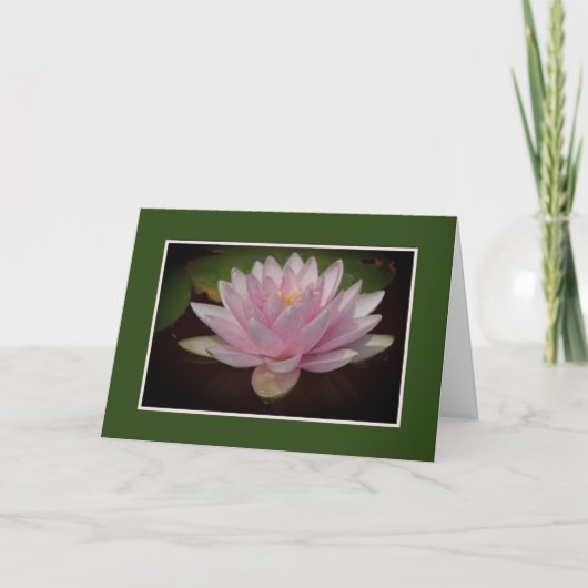 BLEEK-PINKWATER LILY/BLANK INSIDE KAART (Voorkant)