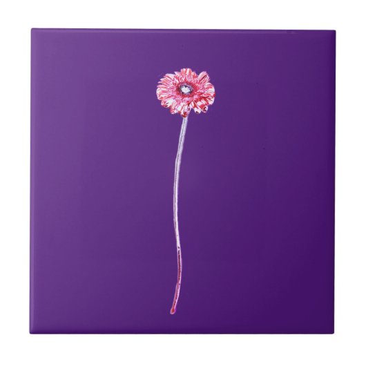 Bleek Rode Roze Paars Gerbera Bloem Tegeltje (Voorkant)