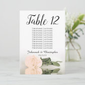 Bleek Roos Bindetafelzitje groot (Staand voorkant)