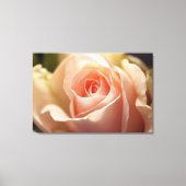 Bleek Roos met platte doek Canvas Afdruk (Voorkant)