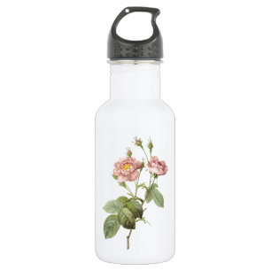 bleek roos (Rosa centifolia anemonoides) van Redou Waterfles