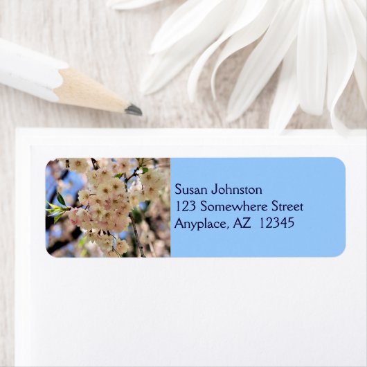 Bleek Roze bloesems Adres Etiket (Insitu)