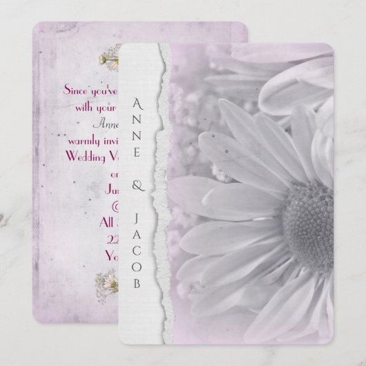 bleek roze daisy macro op verscheurd randpapier kaart (Voorkant / Achterkant)