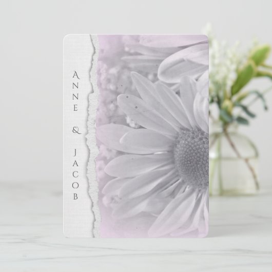 bleek roze daisy macro op verscheurd randpapier kaart (Staand voorkant)