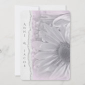 bleek roze daisy macro op verscheurd randpapier kaart (Voorkant)