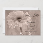 Bleek roze gekleurde Daisy Wedding Save the Date (Voorkant)