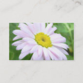 Bleek roze gekleurde draisy visitekaartje (Achterkant)