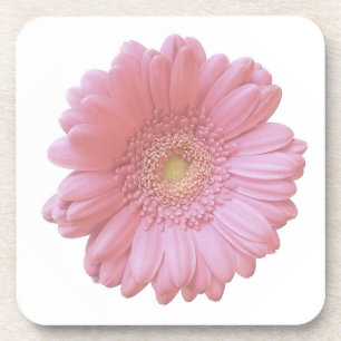 Bleek roze gerbera daisy bier onderzetter