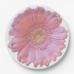 Bleek roze gerbera daisy papieren bordje
