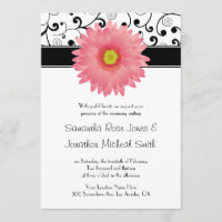 Bleek roze Gerbera Daisy Scroll Design Wedding