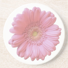 Bleek roze gerbera daisy zandsteen onderzetter