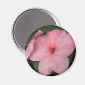 Bleek roze impatiens Bloemnet Magneet (Voorkant / Achterkant)