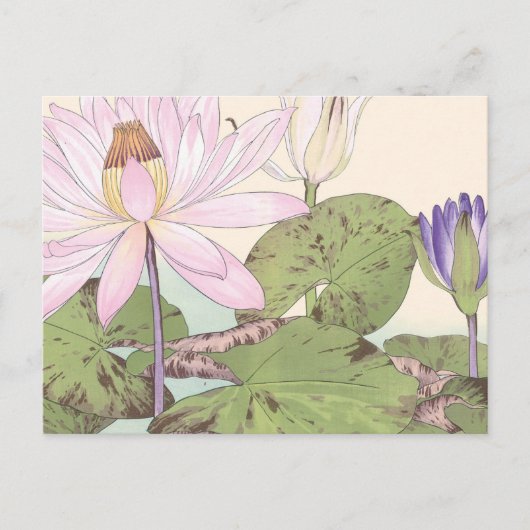  Bleek roze Lotus Briefkaart (Voorkant)