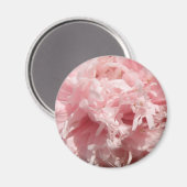 Bleek Roze Magnet (Voorkant / Achterkant)