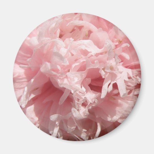 Bleek Roze Magnet (Voorkant)