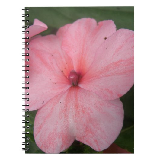 Bleek roze Notitieboek (Voorkant)