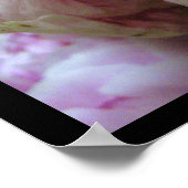 Bleek Roze Peony Blossom Poster Prints (Hoek)