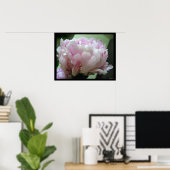 Bleek Roze Peony Blossom Poster Prints (Thuiskantoor)