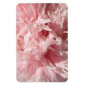 Bleek Roze Poppy Premium Magnet Magneet (Verticaal)