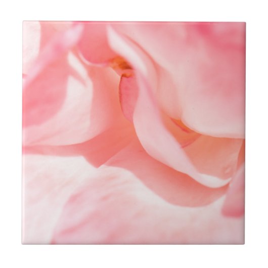 Bleek roze Rose Petals Tegeltje (Voorkant)