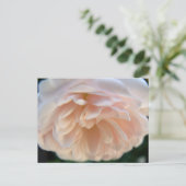 Bleek Roze Roze Briefkaart (Staand voorkant)