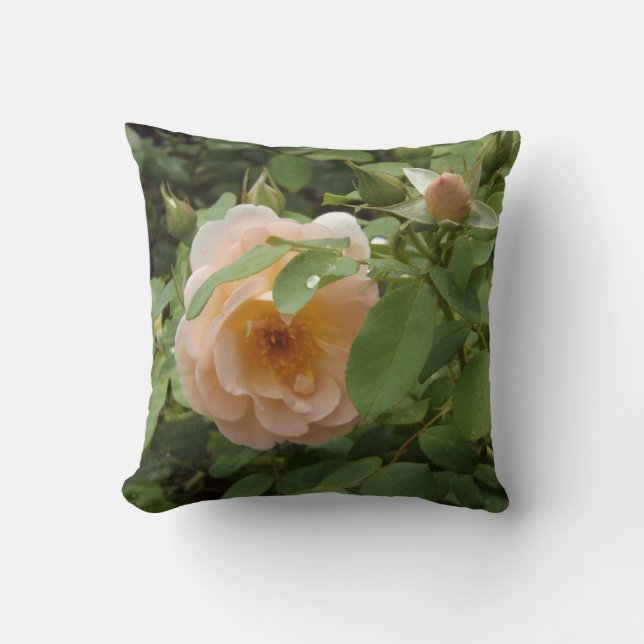 Bleek Roze Roze Kussen (Voorkant)