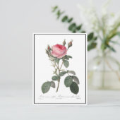 Bleek roze  rozen schilderen briefkaart (Staand voorkant)