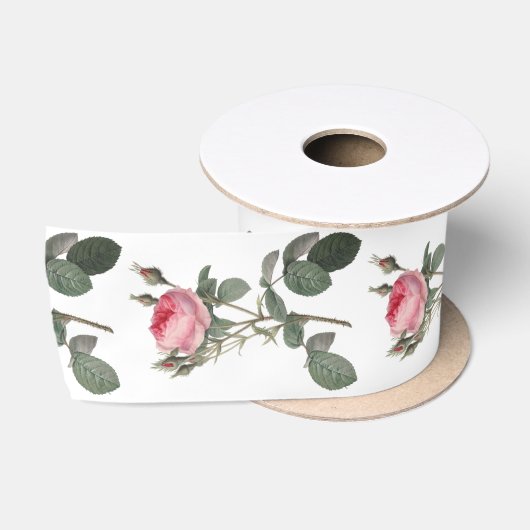 Bleek roze rozen schilderen satijnen lint (Spoel)