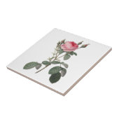 Bleek roze  rozen schilderen tegeltje (Zijkant)