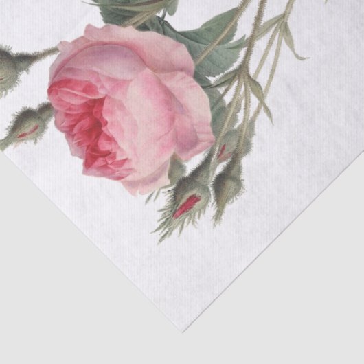 Bleek roze  rozen schilderen tissuepapier (Detail)