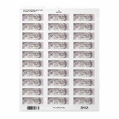 Bleek Roze Swirl Monogram Return Address Etiket (Full Sheet)