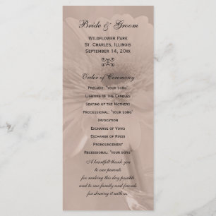 Bleek roze tinted Daisy Wedding Programme Programmakaart