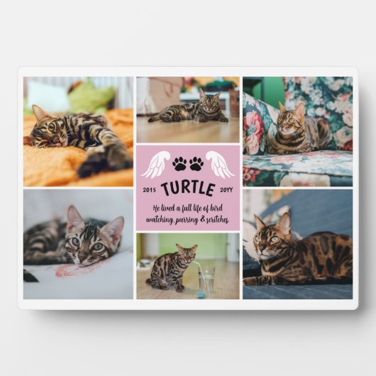 Bleek roze vleugels kattenpoten herdenkingsfoto co fotoplaat (voorkant)