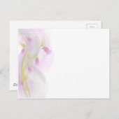 Bleek Roze Waterverf Was Briefkaart (Voorkant / Achterkant)