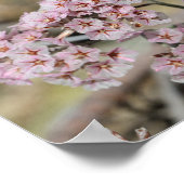Bleek Roze Zee Lavender Papierblom Flowers Floral Poster (Hoek)