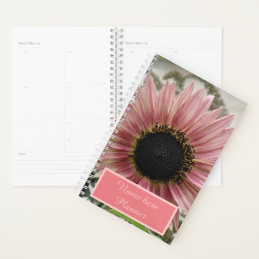 Bleek roze zonnebloem, speciaal gepersonaliseerd planner (Display)