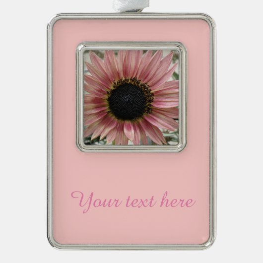 Bleek roze zonnebloem, speciaal gepersonaliseerd verzilverd omlijst ornament (Voorkant)