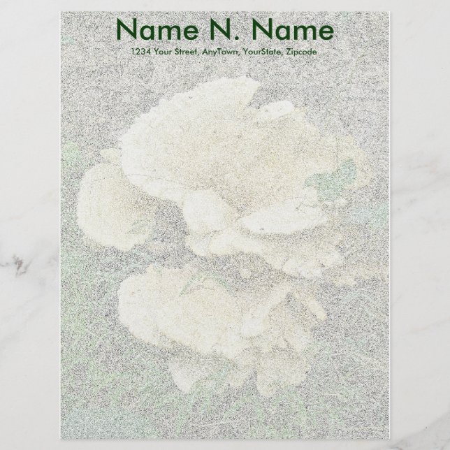 Bleek Shelf Fungus Coordinating Items Letterhead Briefhoofd Ontwerp (Voorkant)
