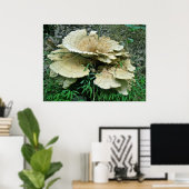 Bleek Shelf Fungus Coordinating Items Poster (Thuiskantoor)