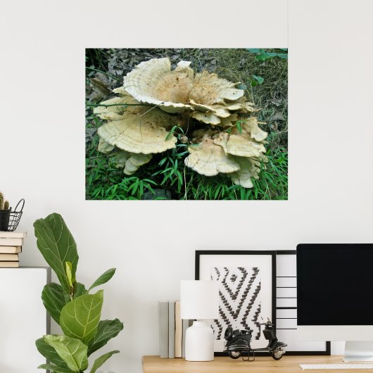 Bleek Shelf Fungus Coordinating Items Poster (Thuiskantoor)