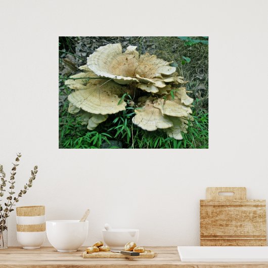Bleek Shelf Fungus Coordinating Items Poster (Keuken)