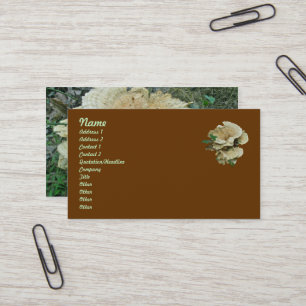 Bleek Shelf Fungus Coordinating Items Visitekaartj Visitekaartje