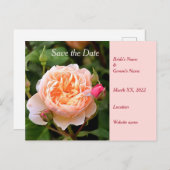 Bleek Sinaasappel Roos en Buds Save the Date Aankondigingskaart (Voorkant / Achterkant)