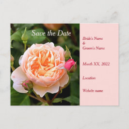 Bleek Sinaasappel Roos en Buds Save the Date Aankondigingskaart