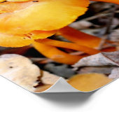 Bleek Sinaasappel Wilde Paddestoelen Spiegel Abstr Poster (Hoek)