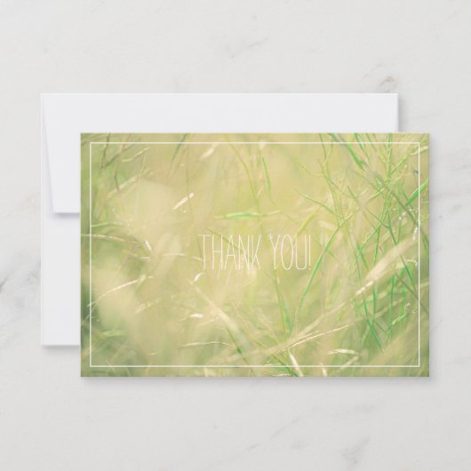 Bleek veld Pastel Colors Hartelijk dank voor platt (Voorkant)