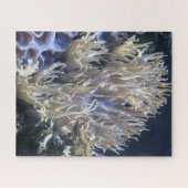 Bleek wit levend koraal in het donkere zeewater legpuzzel (Horizontaal)
