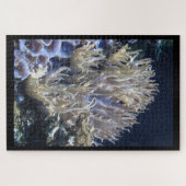 Bleek wit levend koraal in het donkere zeewater legpuzzel (Horizontaal)