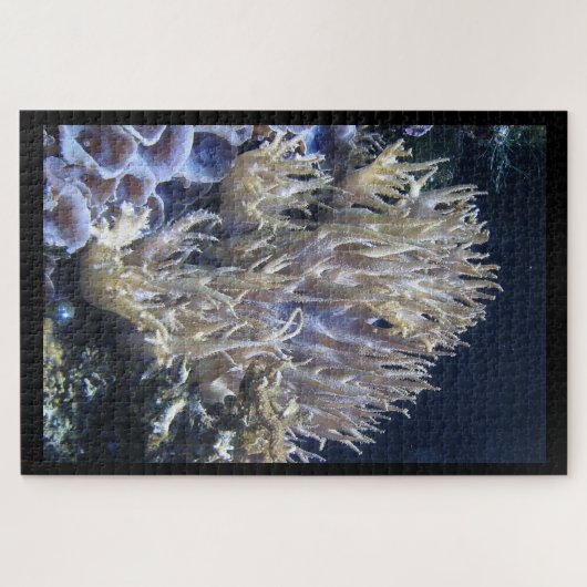Bleek wit levend koraal in het donkere zeewater legpuzzel (Horizontaal)